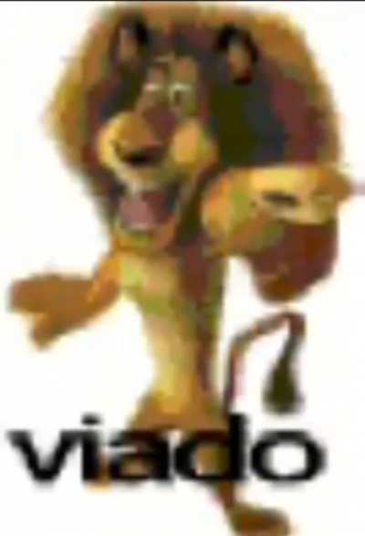 Sem perguntas porfavor