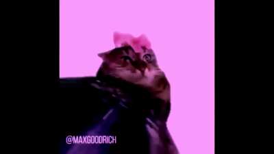 pretty much how it feels to listen to m1