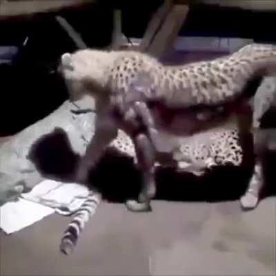 owo that's scary
