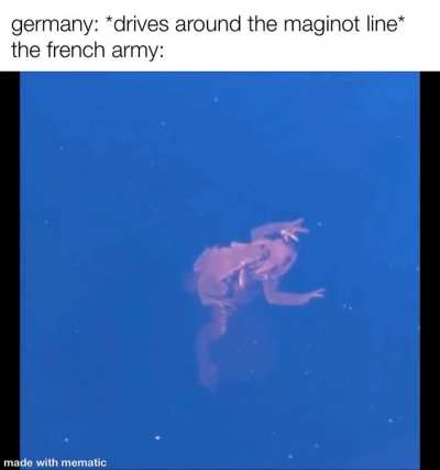 sacre bleu!