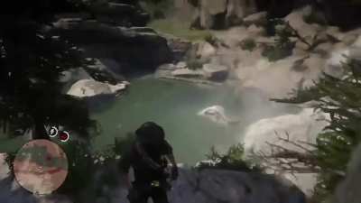 To dive off the edge