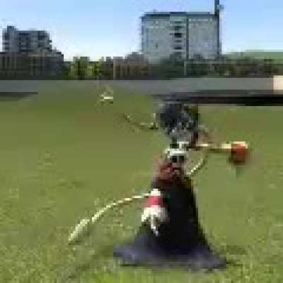 squiggs dancin'