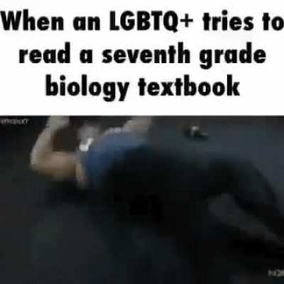 shitposting - Video #7450
