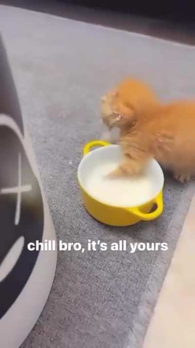 Mmmm Milk yum
