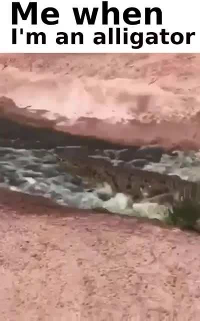 wheeeee
