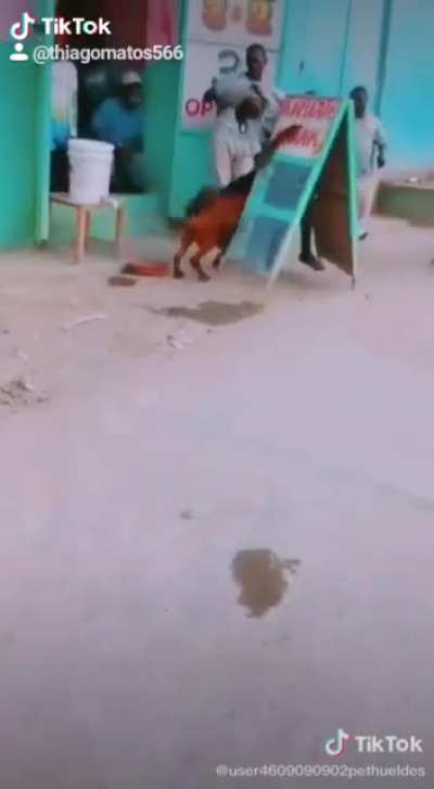 Quem rir já sabe