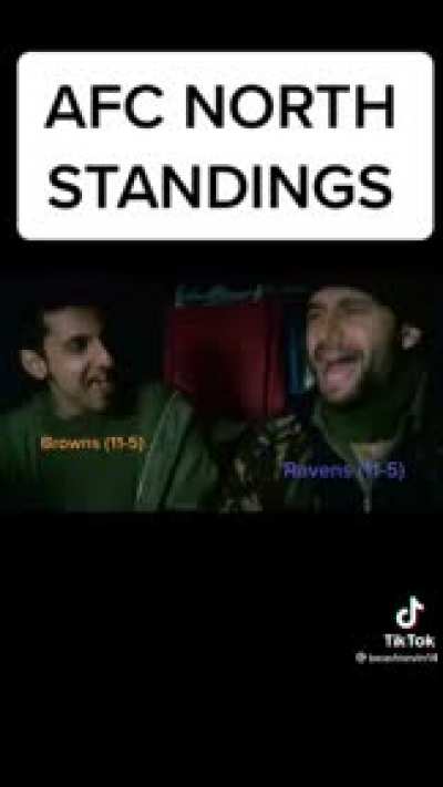 AFC north standings
