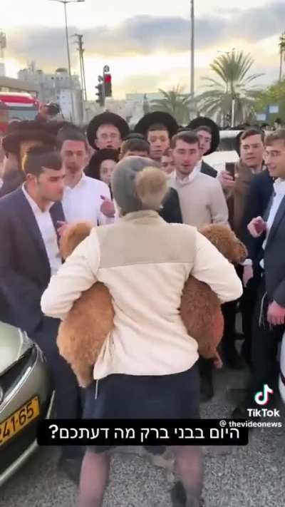 Zionist Youth Swarm a Lady and Her Dogs