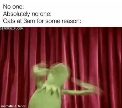 My disappointment is immeasurable and my sleep is ruined