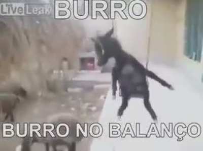 El futuro