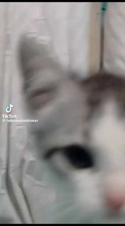 wunk jumpcare (VERY SCARY)