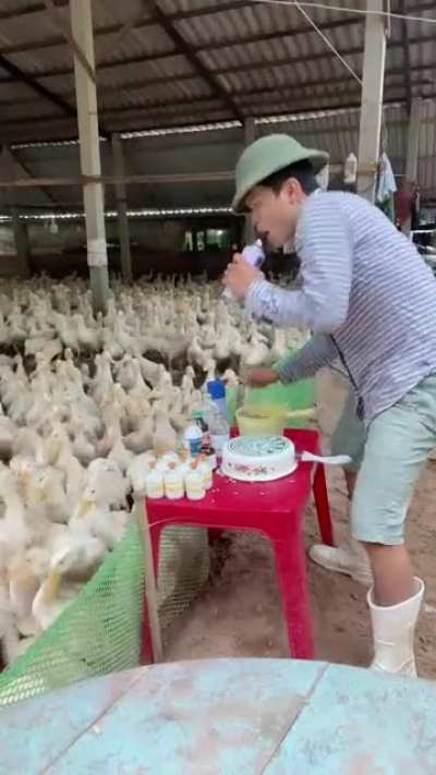Dj Duck .......