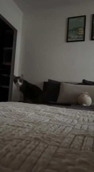 You can run but you can't hide!