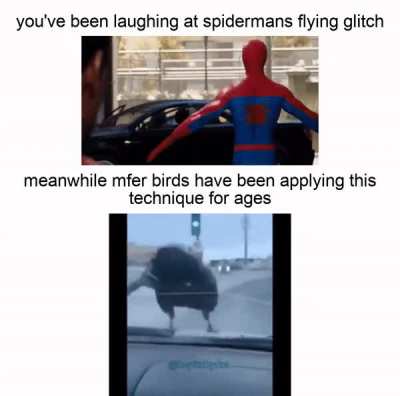 birdman glitch