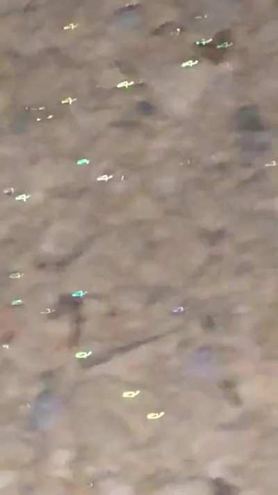 Their eyes are glowing from the phone flash.