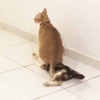 He could have picked anywhere else to sit
