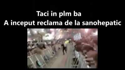 Baga mare sefule