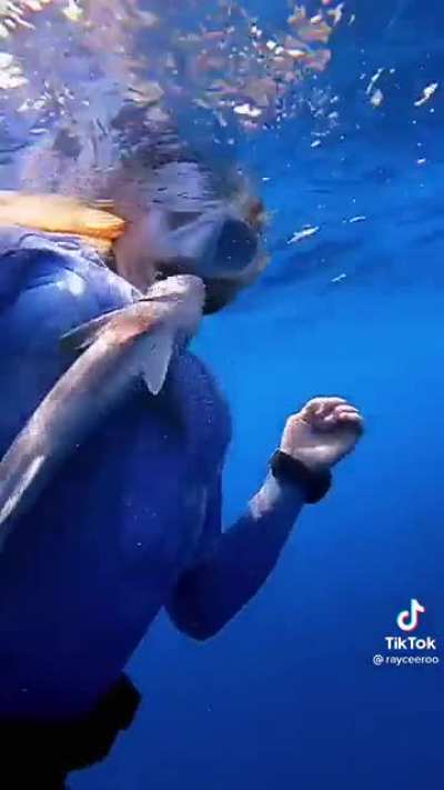 Sea puppy
