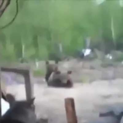 3 Fatalities