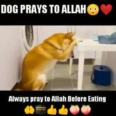 ALLAH