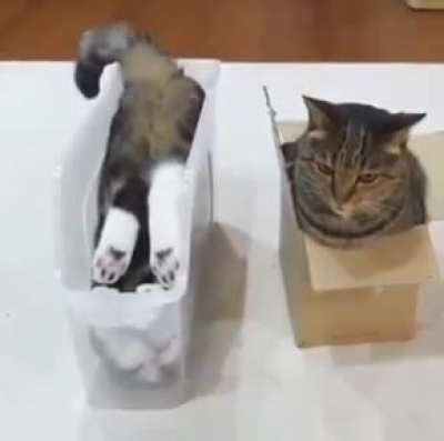I'm stuck!