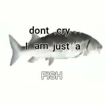 just a fish. (what should I name him?)