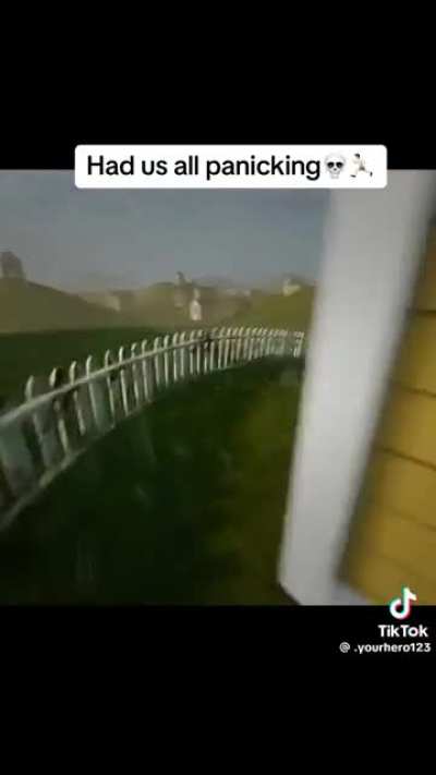 Oh no no no