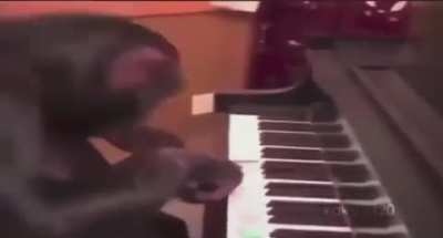 fredy fazbear epilepey