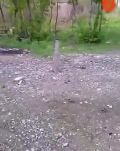 Boom