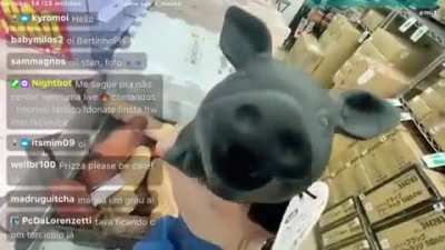 Anh, gente olha que incrível cês vão adorar. Falou Prizza