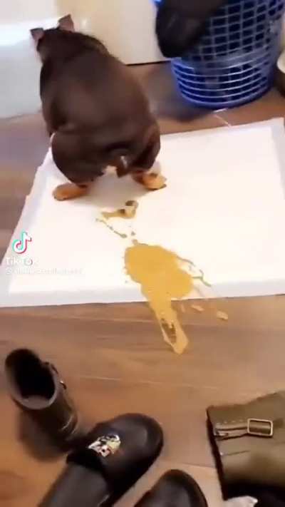 Peanut butter 👍