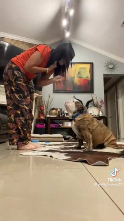 lucky dog