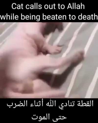 inshallah
