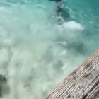The definition of a gif that ends too soon