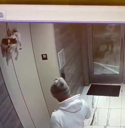 Someone forgot the dog