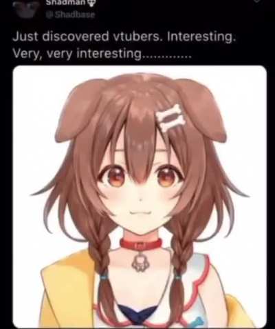 Welp