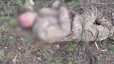 RU POV: AFU stronghold seized by Airborne Troops