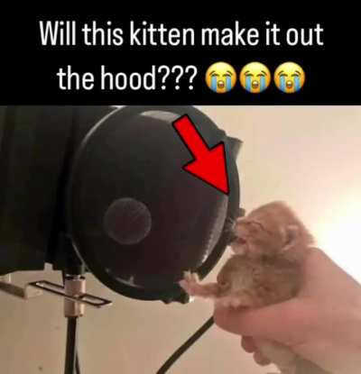 PROD WUNK 🗣️🎙️‼️