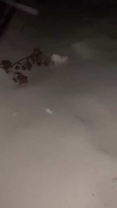 Kicking some snow