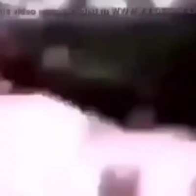 فيديو لقرد يدور بلا وعي🤑