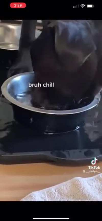 Man’s Best Hydrohomie
