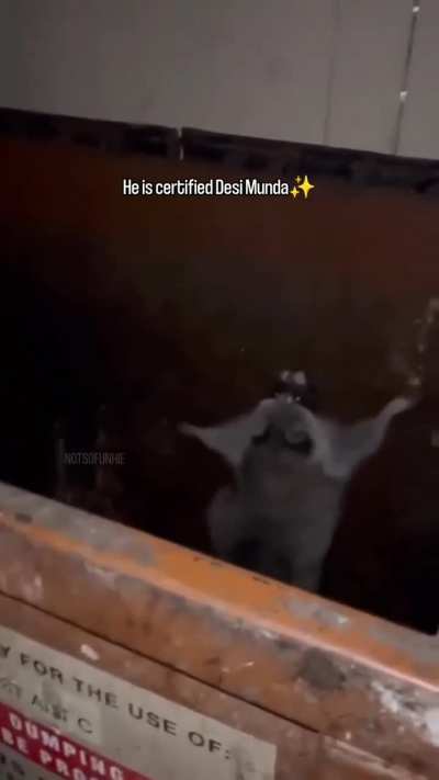 The music got me..