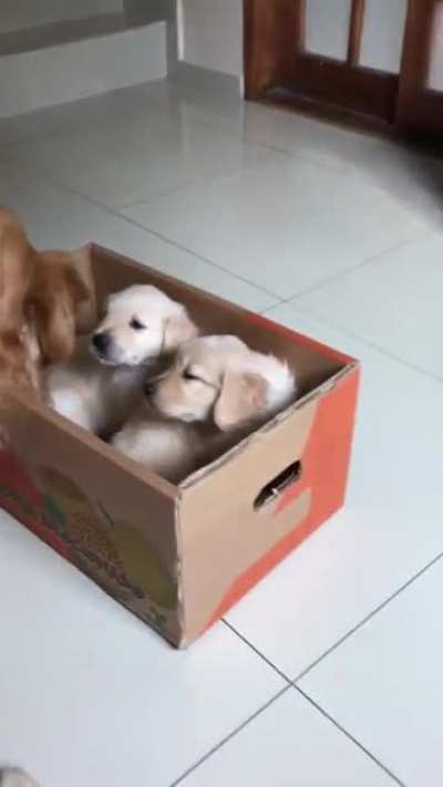 Little surprise