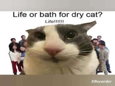Uoydoglhfljk