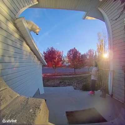 Ringing a doorbell