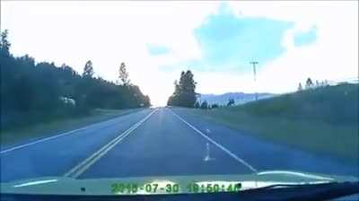 Hitting a deer at 120 km/h