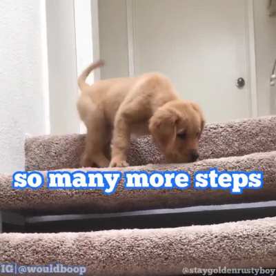 hello stairs, we meet again