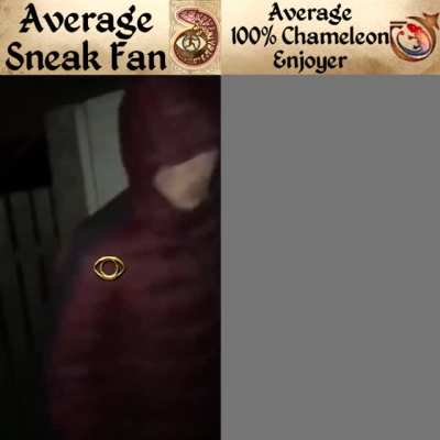 Average Sneak Fan vs Average 100% Chameleon Enjoyer