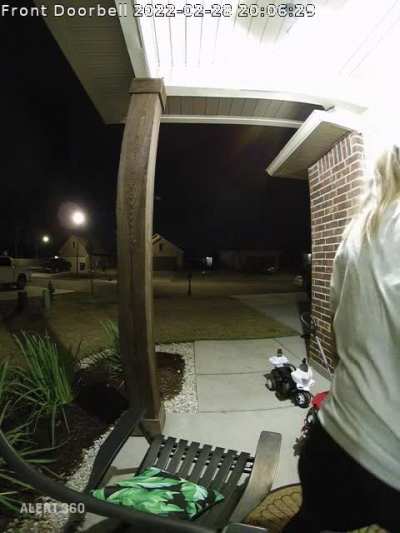 I feed this bird and she lives on my house and this is how she treats me! 🤣