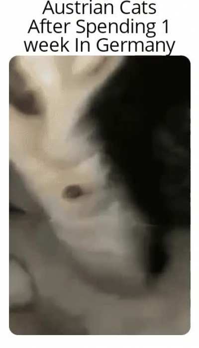 mewooooooootler